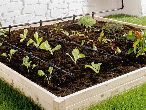Irrigation Kit