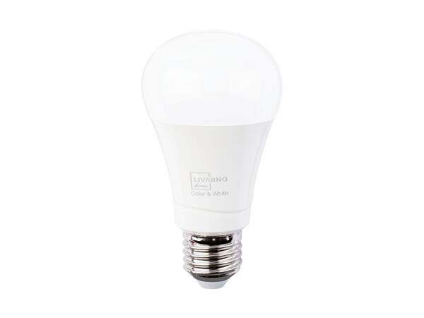 LIVARNO HOME(R) LED-pære