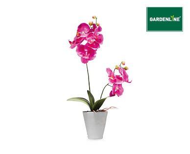 Real Touch Orchid