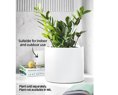 White Large Ceramic Planter
