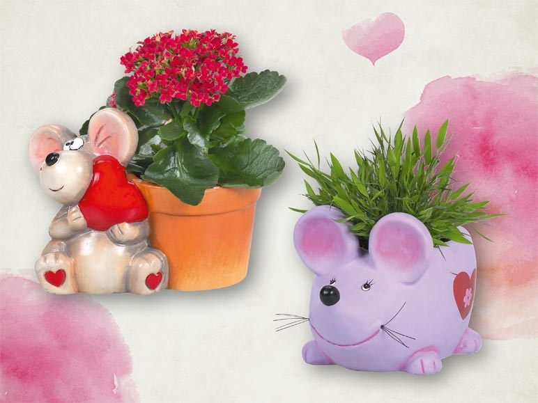Souris en céramique avec plante verte "Saint-Valentin" (dès le 11.2)