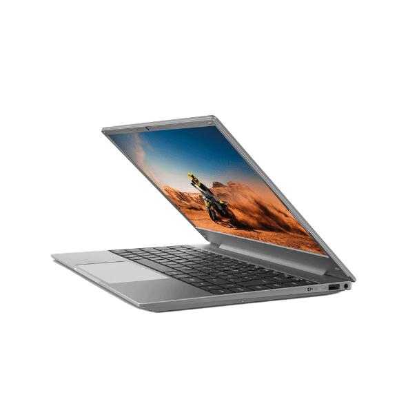 MEDION(R) AKOYA(R) E13204 (MD64020) 				Ordinateur portable de 33,8 cm/13,3"