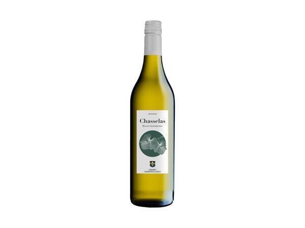 Chasselas Vaudoise bio in riconversione