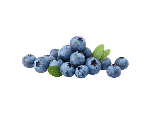 Organic Blueberries