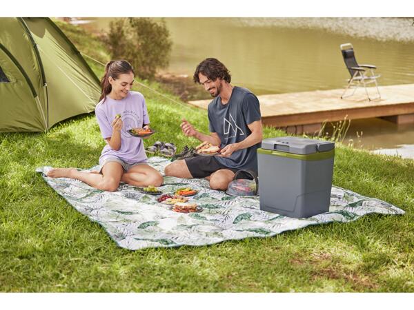 Electric Cool Box