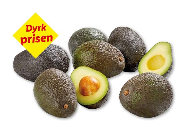 Avocado