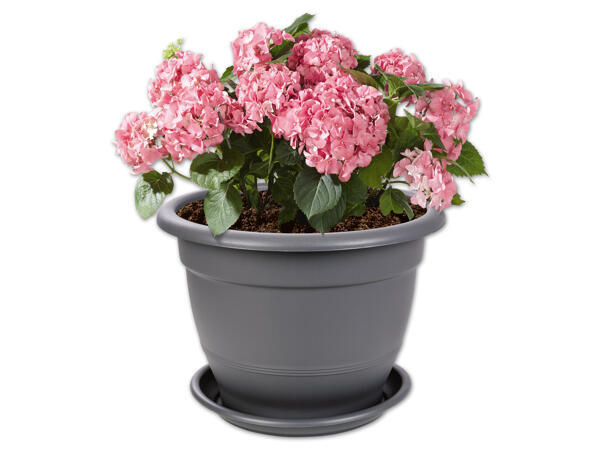 PARKSIDE(R) Blumentopf