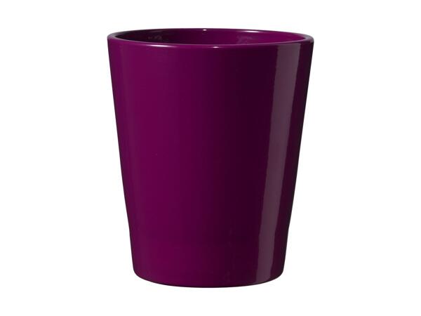 Colour Orchid Pot