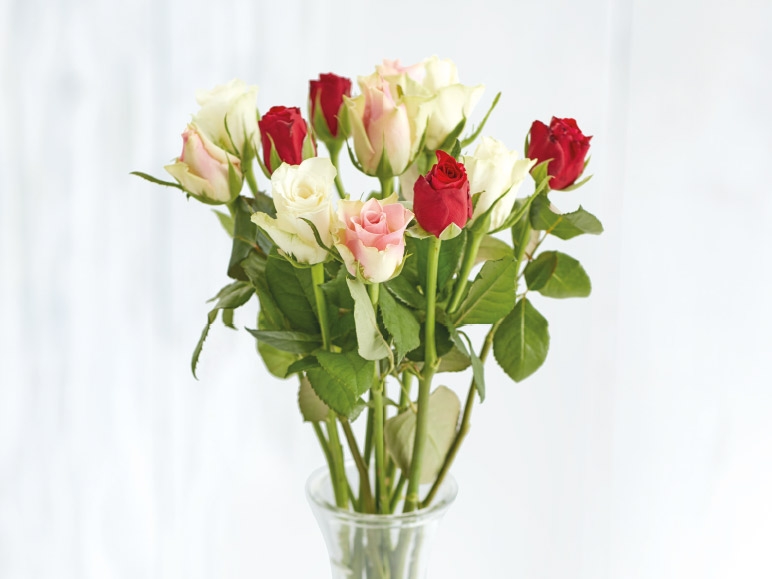 Fairtrade Mixed Roses