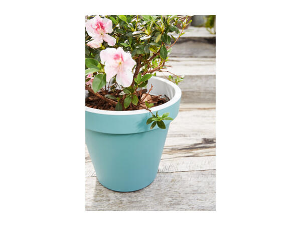 Livarno Home Ø 40cm Round Planter