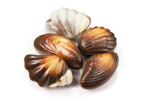 J.D. Gross Belgian Sea Shell Chocolates