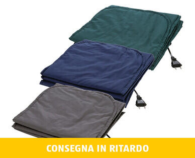 AMBIANO 
 SCALDAPIATTI ELETTRICO