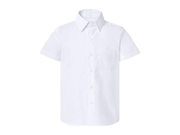 Short Sleeve Shirts - 2 Pack