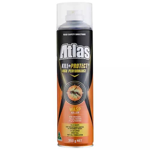Wasp Spray 350g