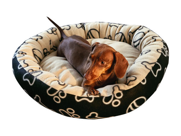 ZOOFARI(R) Hundekurv