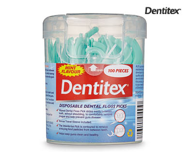Disposable Dental Floss Picks 100pk