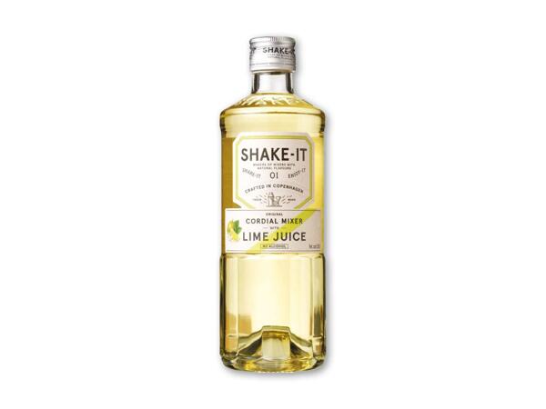 Shake-It mixer