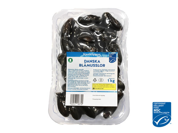 Blåmusslor