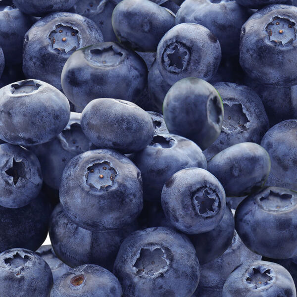 Premium Heidelbeeren