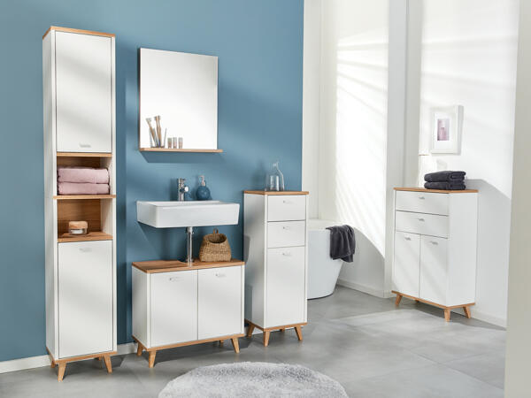 Under-Sink Bathroom Cabinet