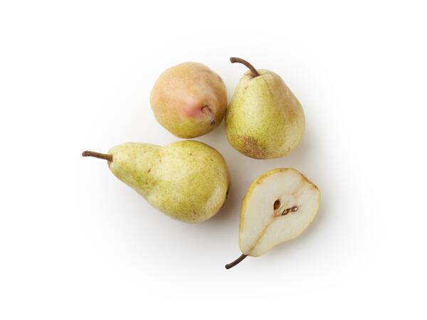 William Pears