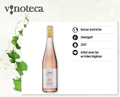 Rosé Zweigelt RIEDEN SELECTION