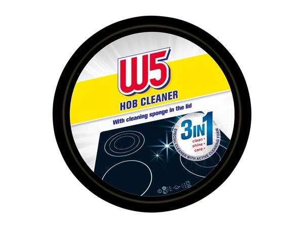 W5 Cleaning Stone with Sponge