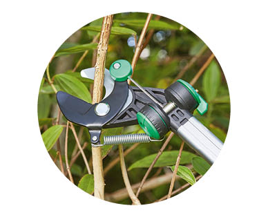 Telescopic Tree Pruner