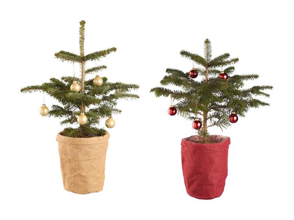 Juletræ med pynt