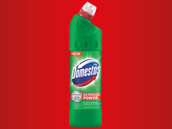 DOMESTOS WC ČISTIČ