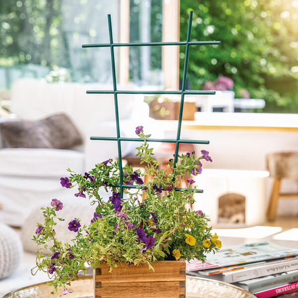 Blumenstütze