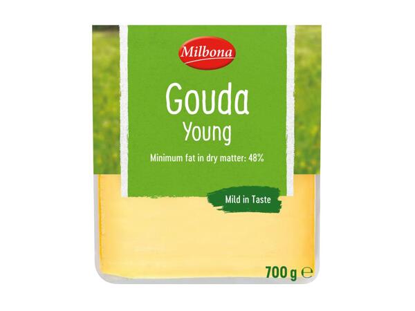 GOUDA