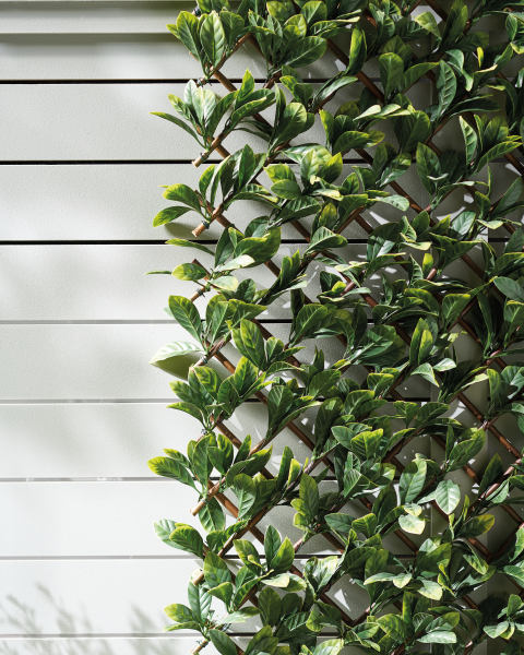 Expanding Laurel Leaf Trellis