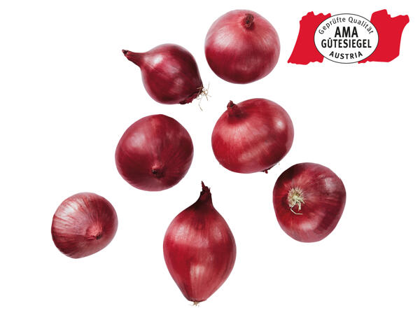 Zwiebeln rot aus Österreich