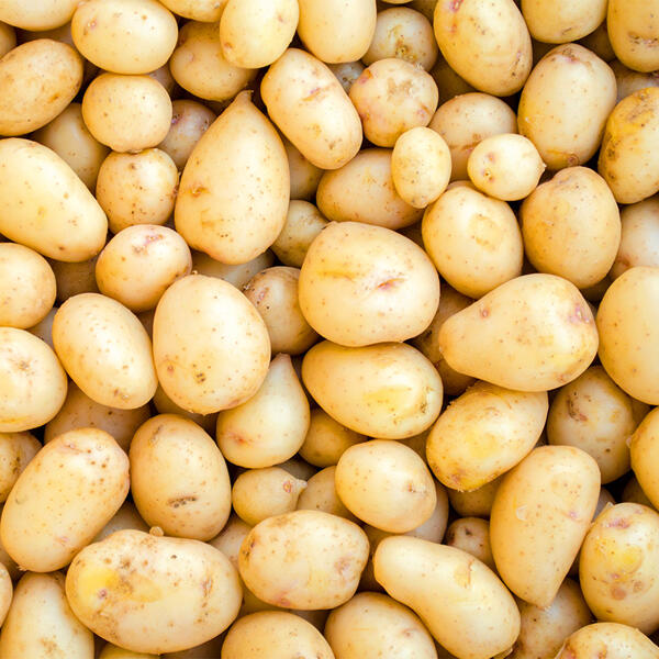 Speisekartoffeln