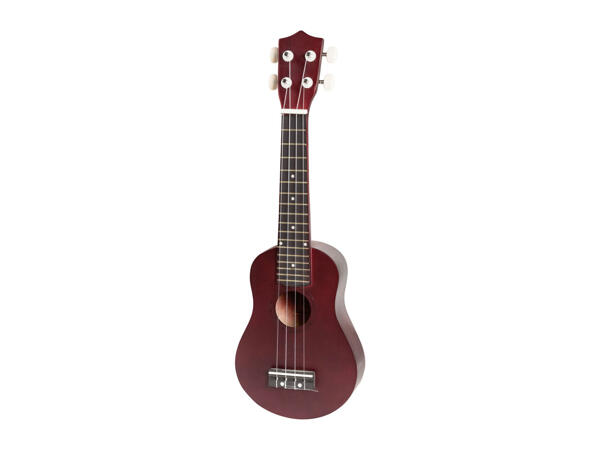 Ukulele Set