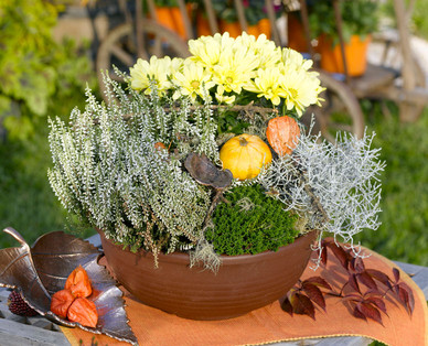 Herbsterwachen