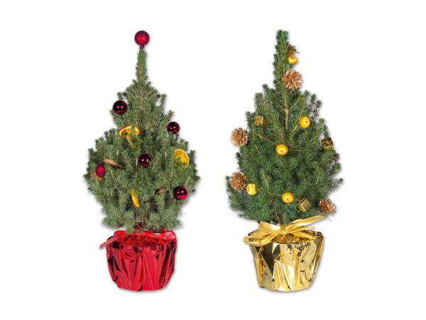 Zuckerhutfichte mit Weihnachtsdeko