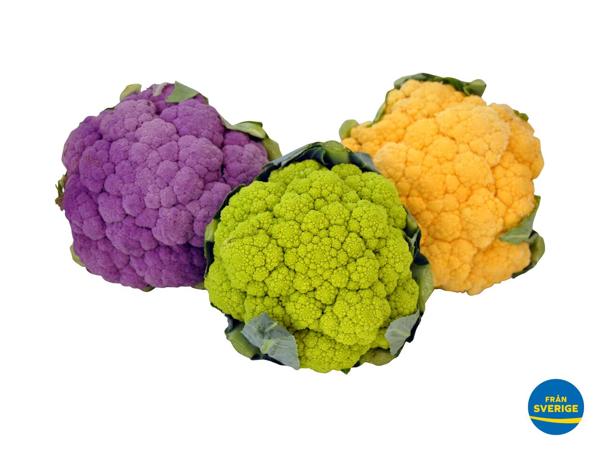Färgad blomkål