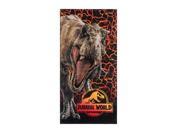 Character Beach Towel / Poncho Beach Towel