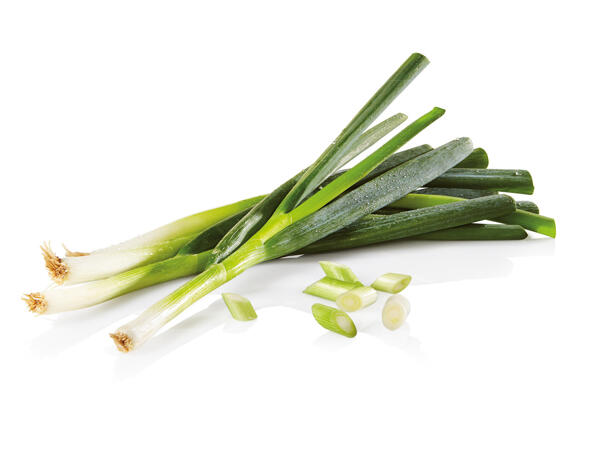 LAHŮDKOVÁ CIBULKA