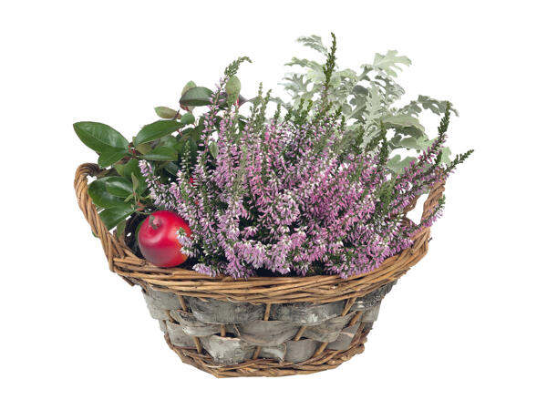 Autumn Basket