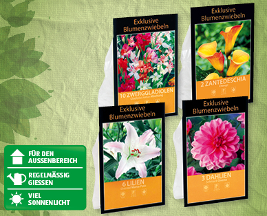 GARDENLINE(R) Exklusive Blumenzwiebeln