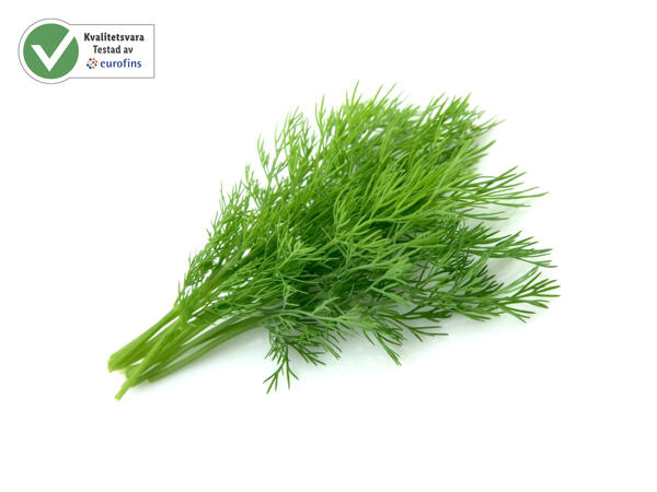 Dill