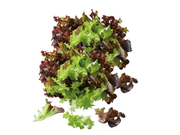 Multicolor sallad