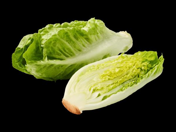 Bio Mini Romana Salat