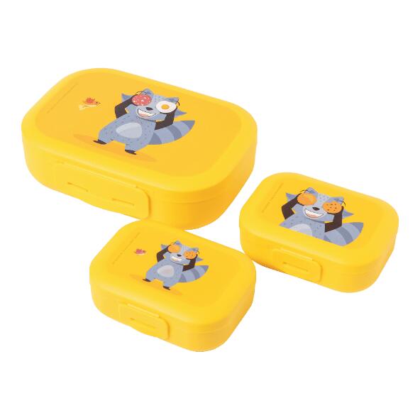 CROFTON(R) 				Boîtes à lunch et à snack, 3 pcs