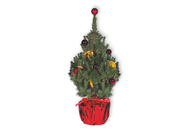 Decorated Christmas Tree