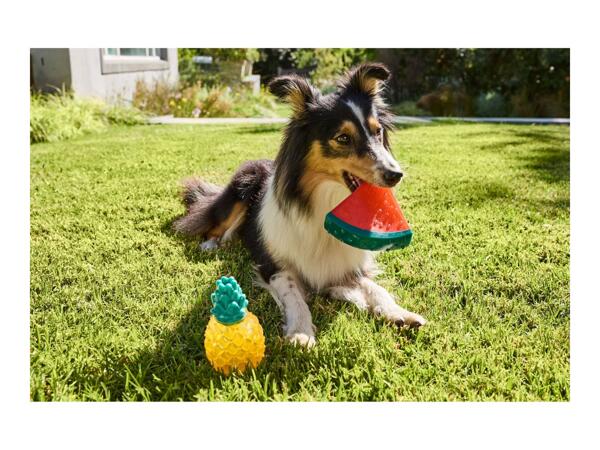 Zoofari Dog Toy