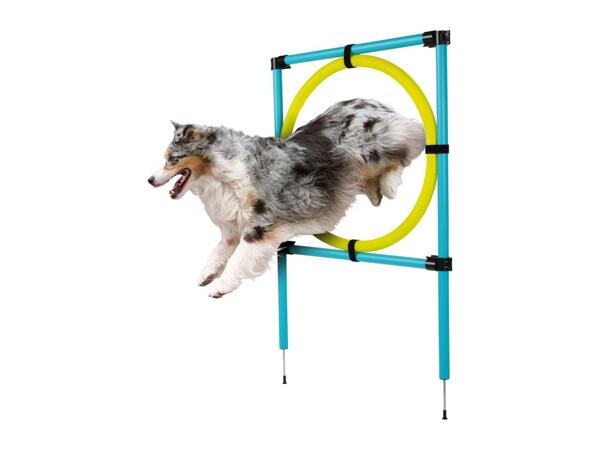 Zoofari Dog Agility Hoop Jump - 9 Pieces